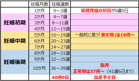 元妊婦が力説 妊娠初期 中期 後期別 妻の妊娠で夫ができること This Is Kiko S Blog